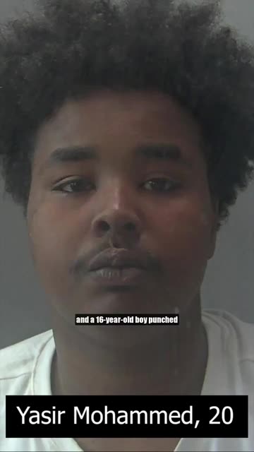 Blacks attack and rob English children