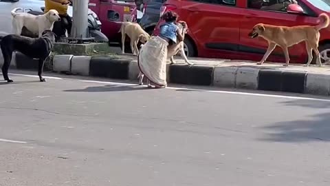 The love world need
