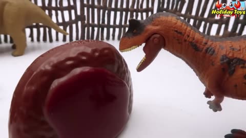 Make Fence from Neatly Arranged Wood to Block the Bull