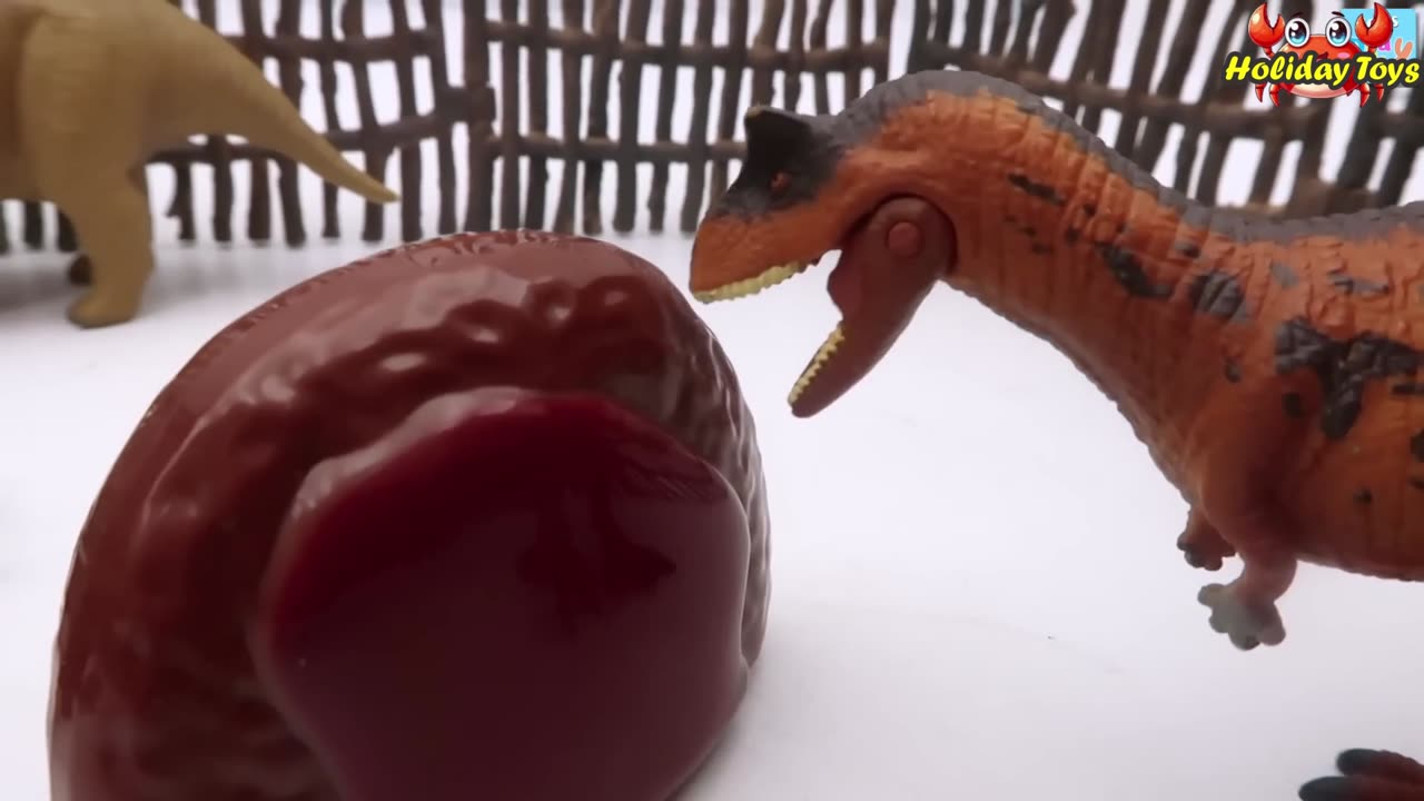 Make Fence from Neatly Arranged Wood to Block the Bull