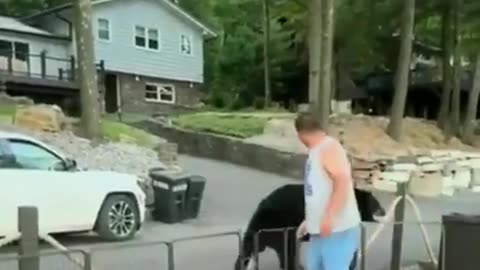 Man tells bear he's not invited and has to leave.
