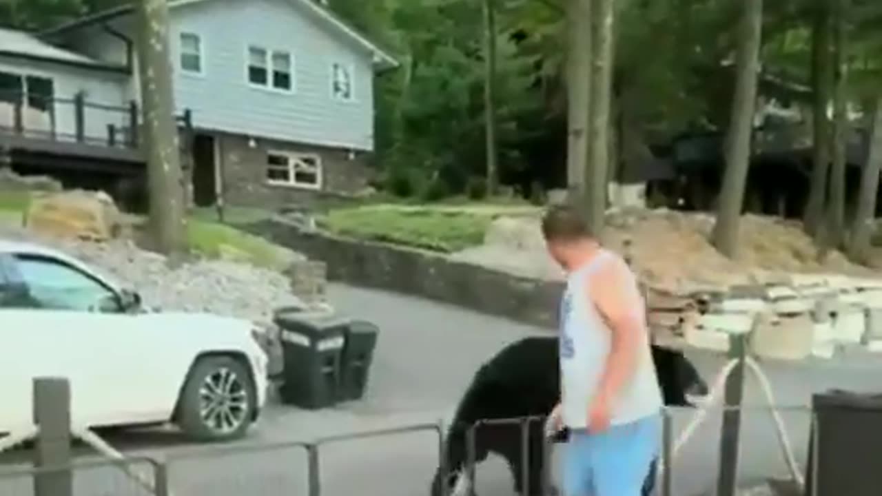 Man tells bear he's not invited and has to leave.