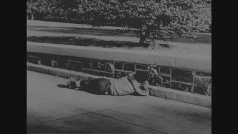 Duck and Cover - Duck and Cover - 171-66