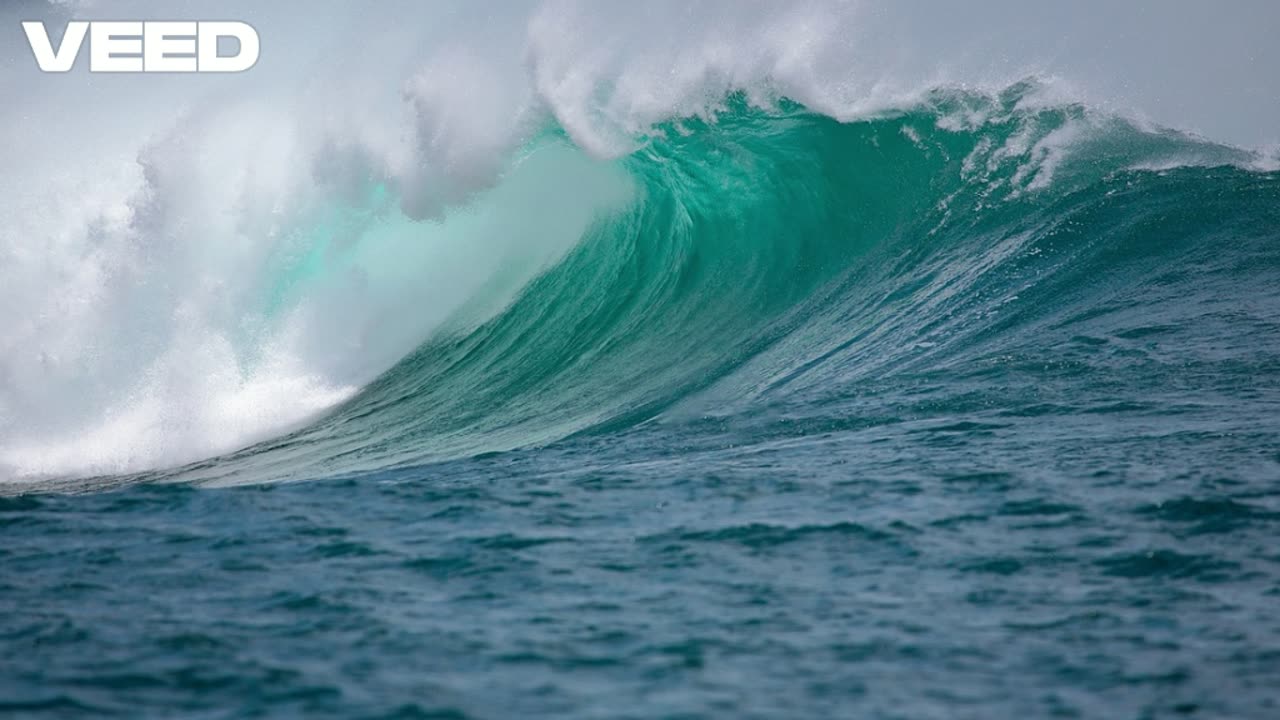 We are The Waves Max