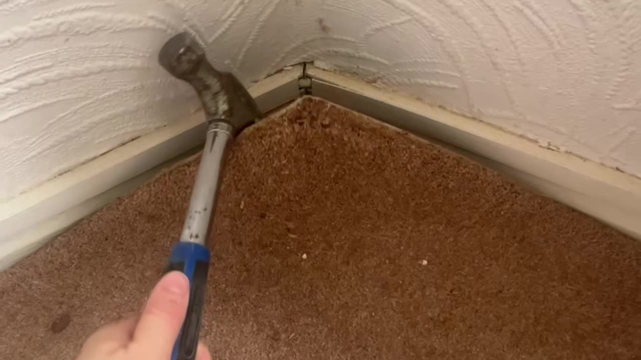 What's Under the Carpet