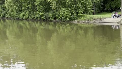 Island Belle paddleboat 5
