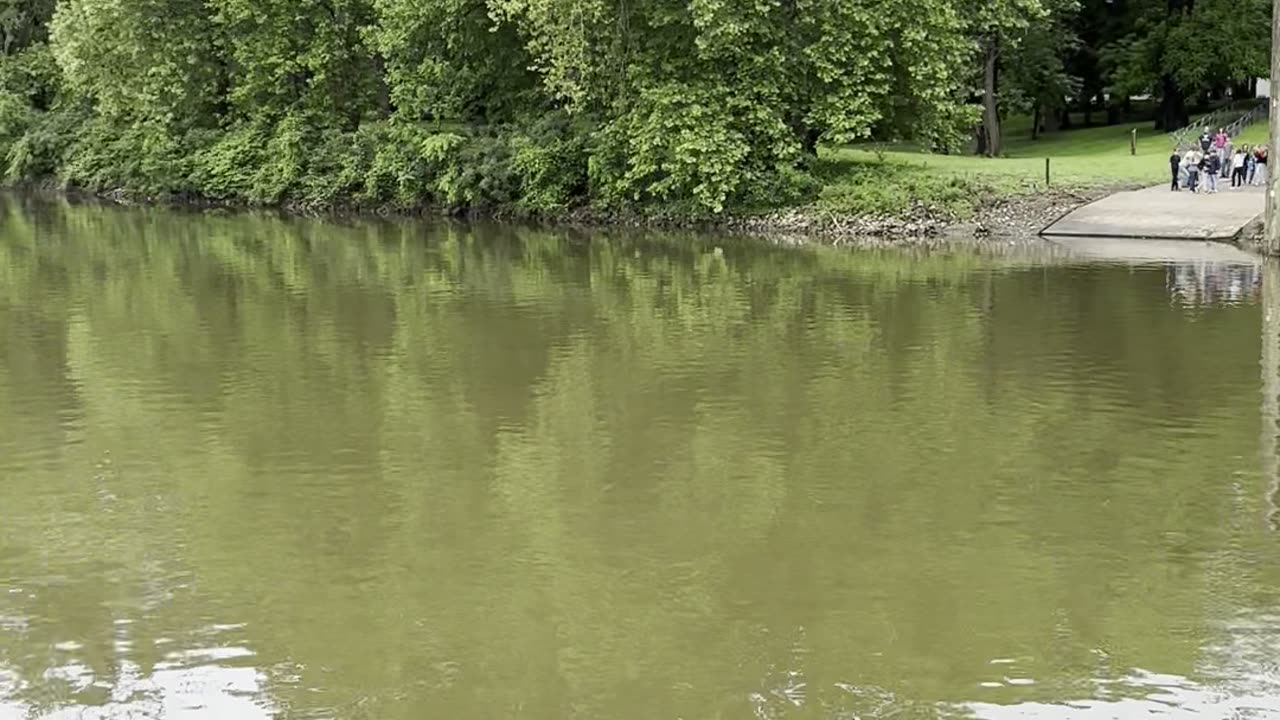 Island Belle paddleboat 5