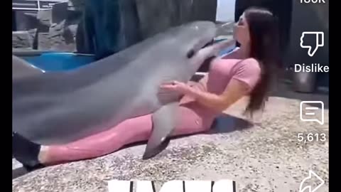 Flipper is a terrorist