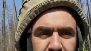 Alarming Reports from Serebryanskoye Forestry