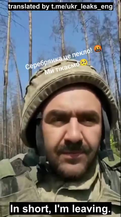 Alarming Reports from Serebryanskoye Forestry