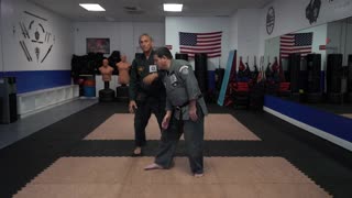 Flashing Mace - Principles, Theories, Rules, Concepts, Ideas, and Strategies