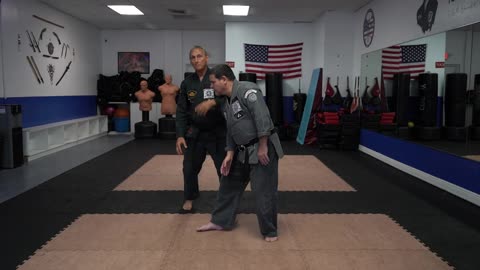 Flashing Mace - Principles, Theories, Rules, Concepts, Ideas, and Strategies