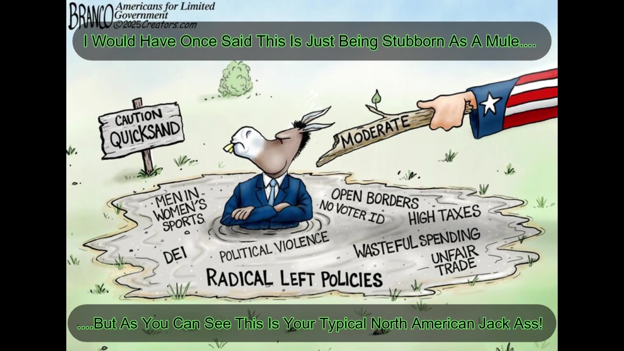 The P.C. Crowd(Political Cartoons)