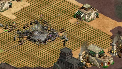 WHEN YOU HAVE LAST SHEEP IN TOWN