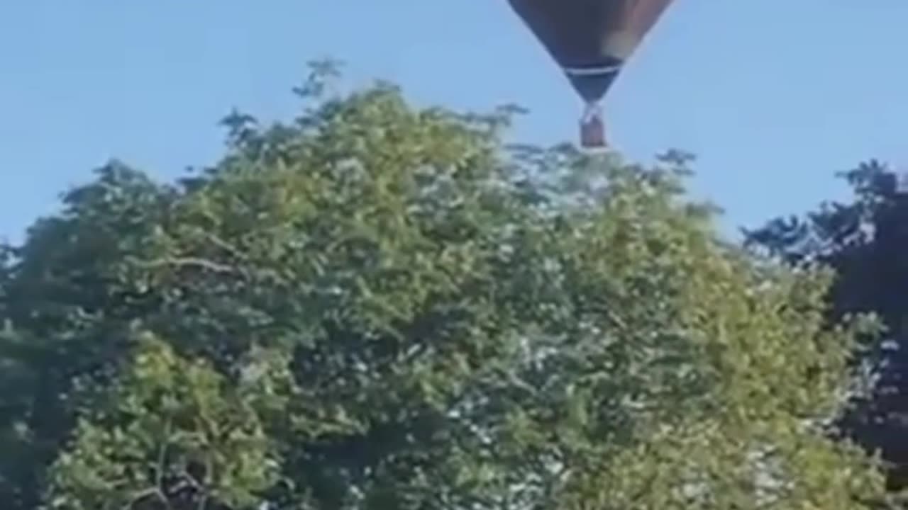 😱🐱 This Cat's Reaction is INSANE! | FunFM