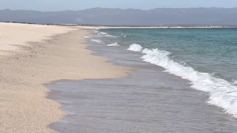 Colesterol y Triglycerides Salud ES