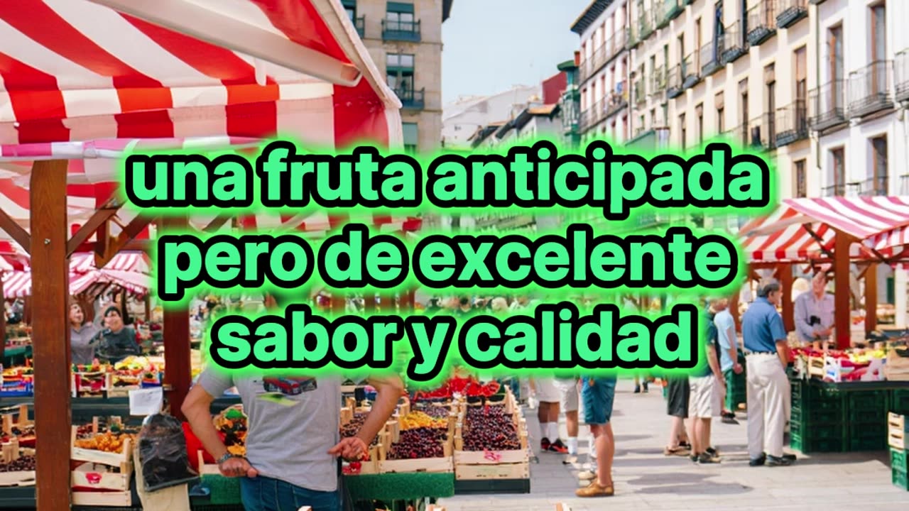 ¡Arrasan con 350.000 cerezas en solo 90 minutos en Bilbao!