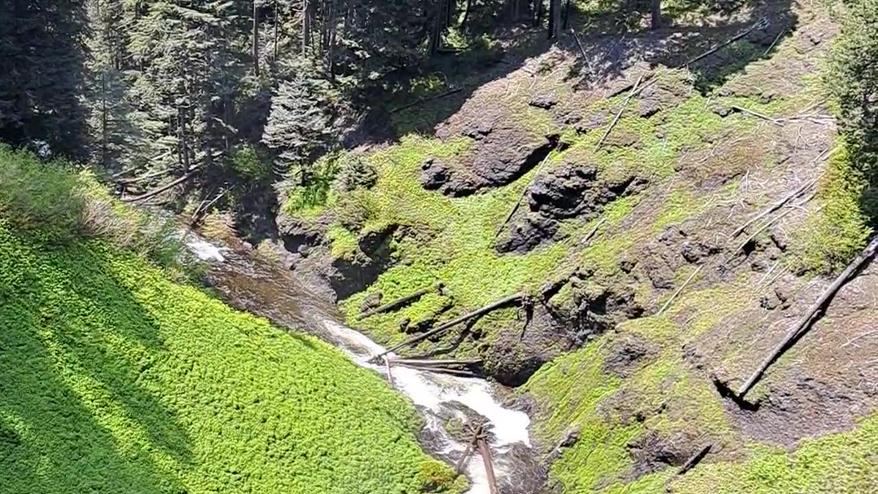 Salt Creek Falls