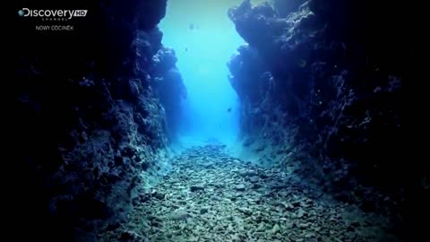 CZY TO BYŁO UFO 5 dokument pl