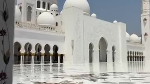 Abu Dhabi Day Tours | Discover the Best of the UAE in One Day"