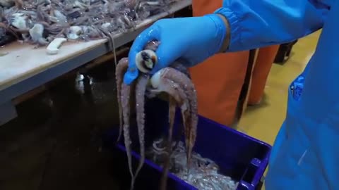 pota sobrevalorada peru