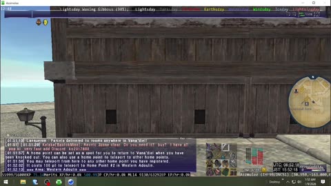 Playing Final Fantasy XI Online