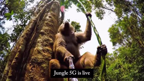 Welcome to the wildest vlog on the internet! 🐒🎥