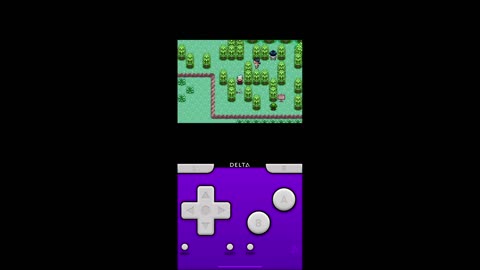 Pokémon Sword Gameplay