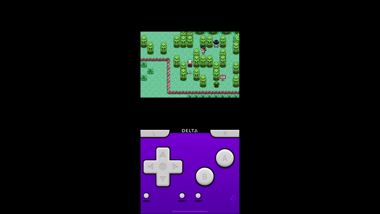 Pokémon Sword Gameplay