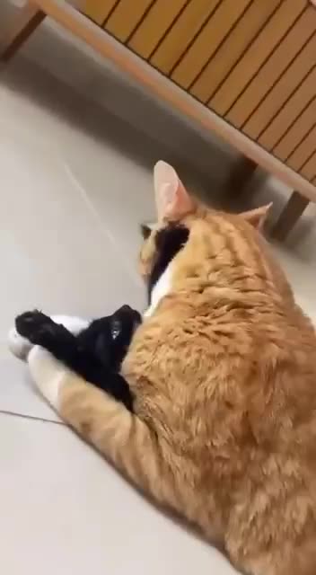 Borderline smothering 🤣