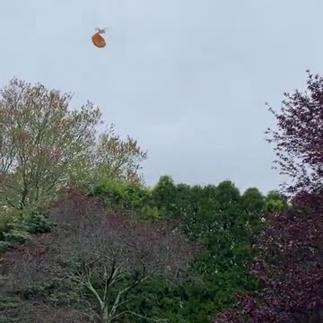 He couldn’t have left you a SLICE?? 😭