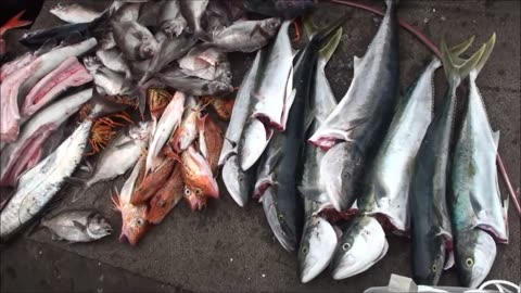 Deep water fishing New Zealand