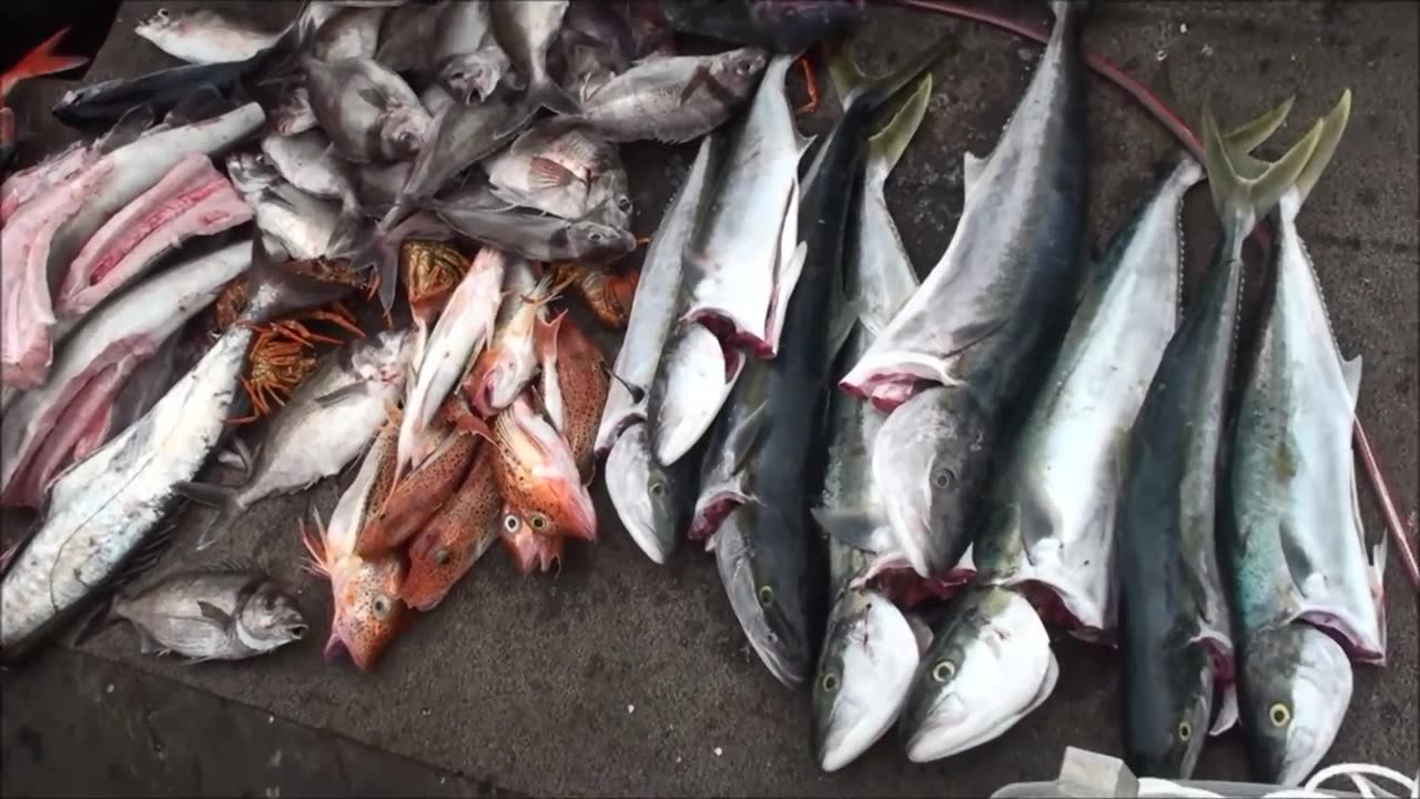 Deep water fishing New Zealand