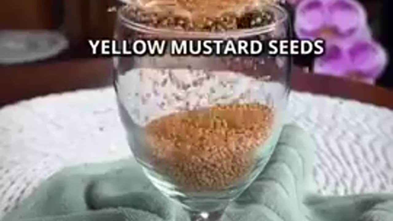 I Couldn’t Believe That Yellow Mustard Seeds Could Make...