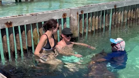 Shark Gets Offended After Woman Refuses a Kiss