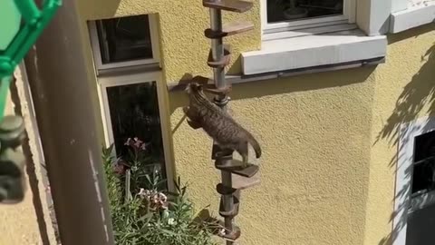 THIS IS JUST CRAZY! MY CRAZY NEIGHBOR DID... 😱😱
