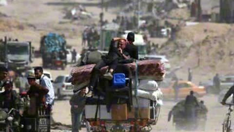 Gaza Survey Reveals Rising Desperation and Shift in Public Opinion 😔📊