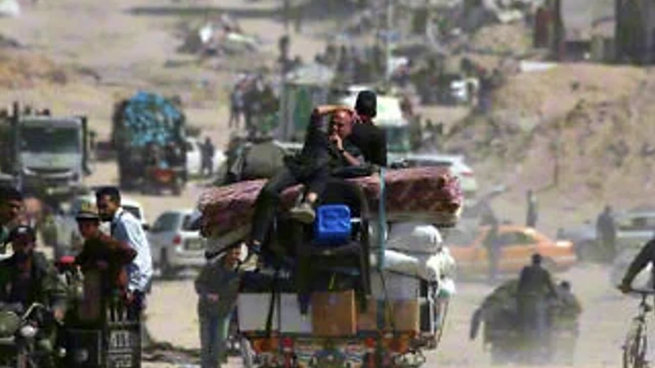 Gaza Survey Reveals Rising Desperation and Shift in Public Opinion 😔📊