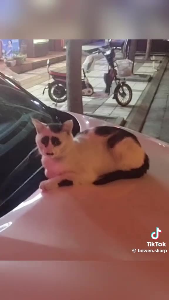 UNIQUENESS SATURDAY 8/2/25