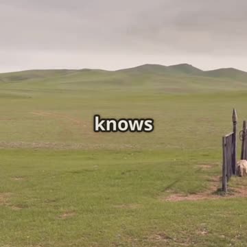 Genghis Khan's Mysterious Death Explaine