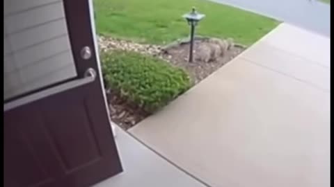 Kid rides off on a bear.