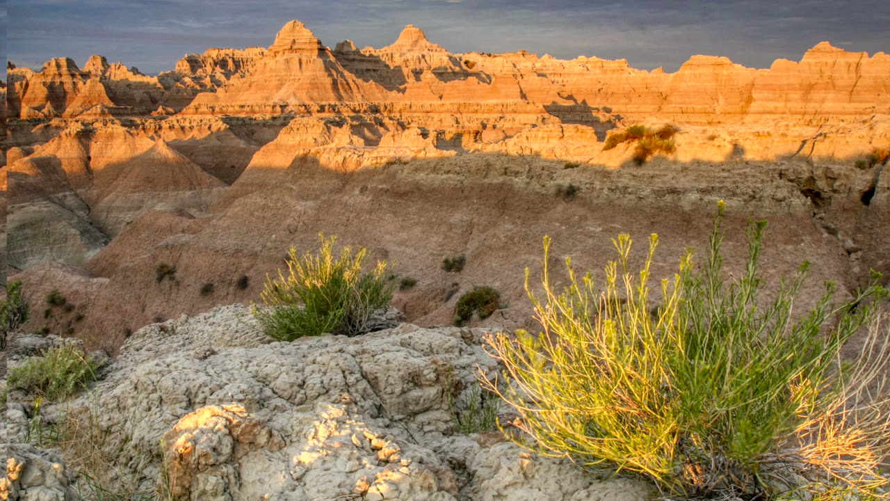 God Gives Life in a Barren Land