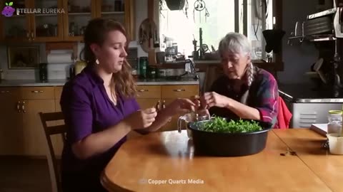 10 Common Weeds That Are Actually Expensive Superfoods (Growing in Your Yard Right Now!)