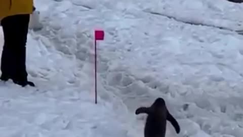 😂🙏 You Won't Believe This Polite Fail! | FunFM