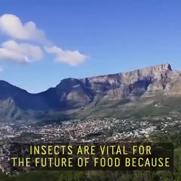 ☠️NEW WORLD ORDER MILK ☠️