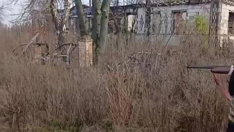 The Russian decided to test the MP-153 hunting rifle from the Izhevsk plant,