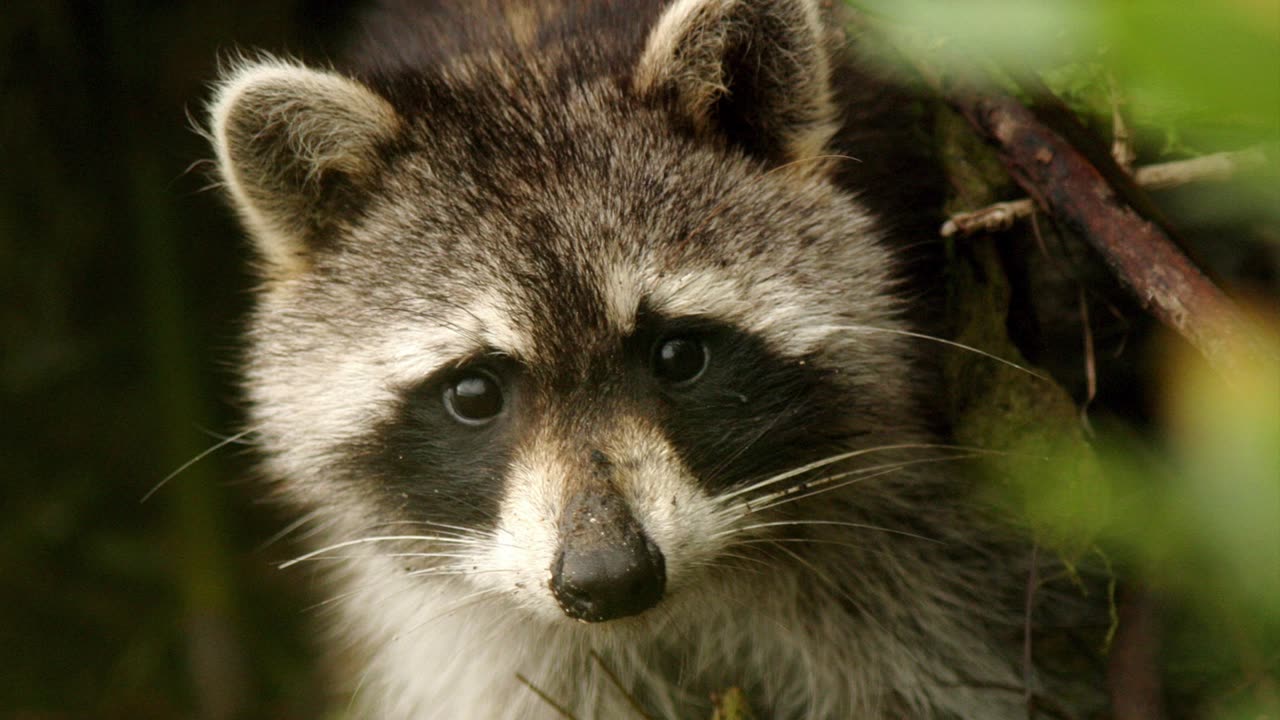 The Visual Bible Verse of the Day: Seek First the Kingdom of God