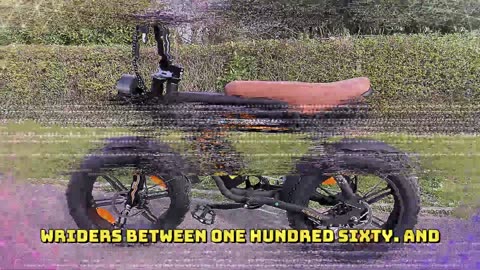 HITWAY BK29S Electric Bike 250W Motor 48V 13Ah Battery 20 * 4.0 inch Off-Road Electric Bike