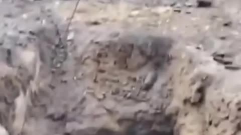 🔥😫 Ukraine Russia War | Russian Soldier Admits Drone Strike Devastation | RCF