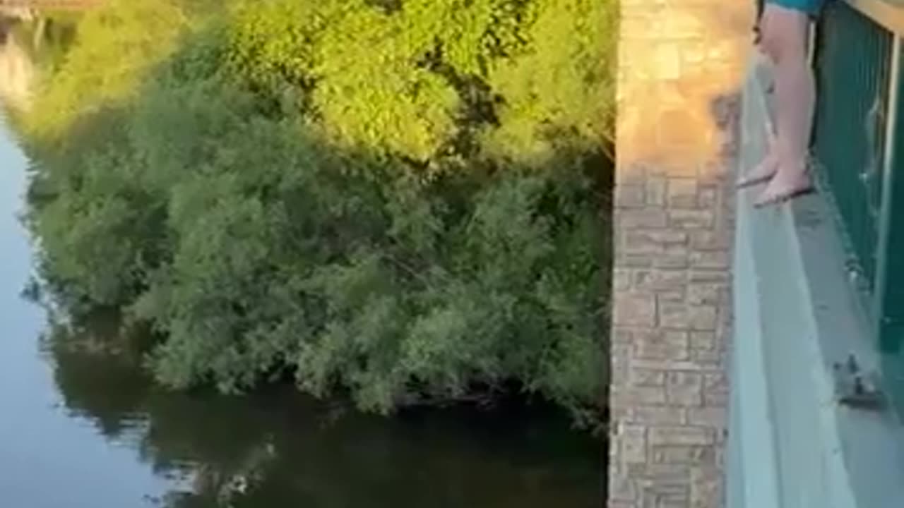 😱🌊 Brave Jump into the River! | FunFM